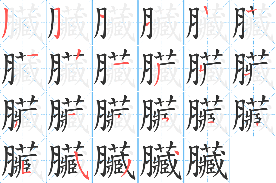臟字完整笔顺步骤图