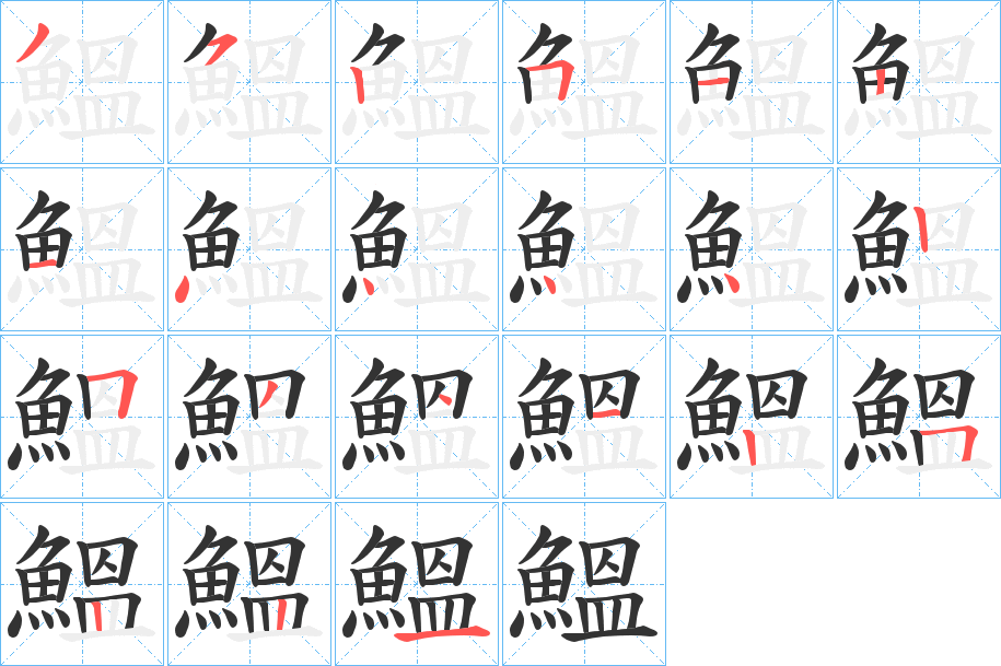 鰮字完整笔顺步骤图