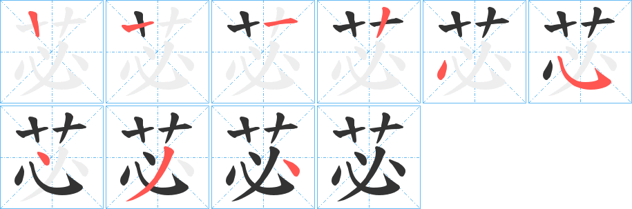 苾字完整笔顺步骤图