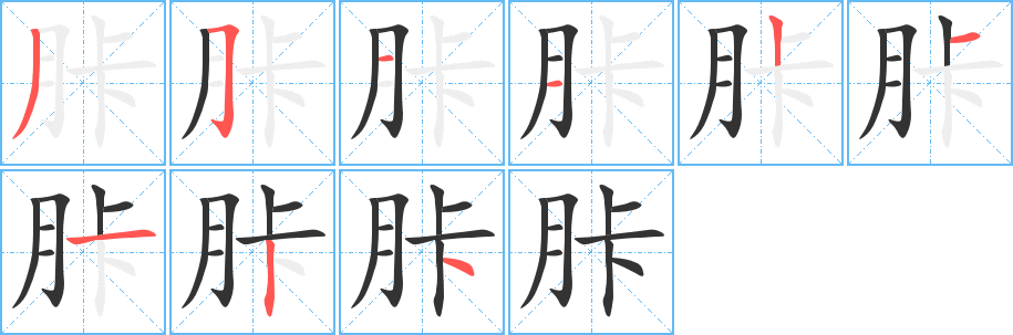 胩字完整笔顺步骤图