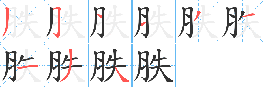 胅字笔顺步骤