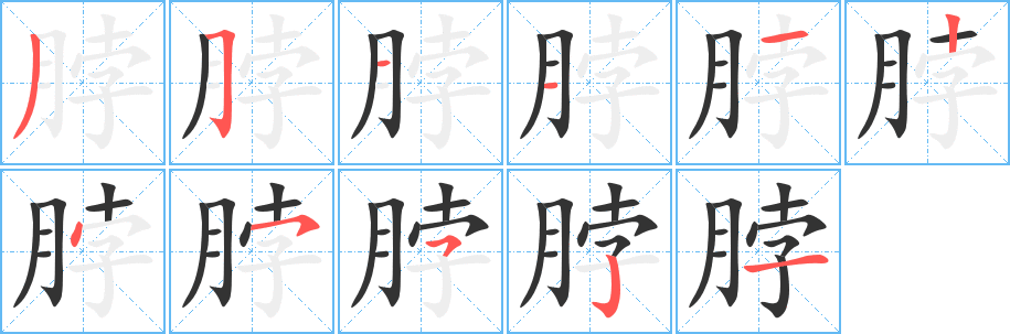 脖字完整笔顺步骤图