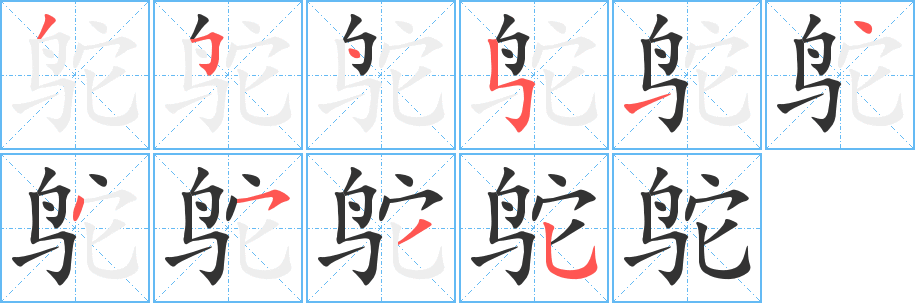 鸵字完整笔顺步骤图