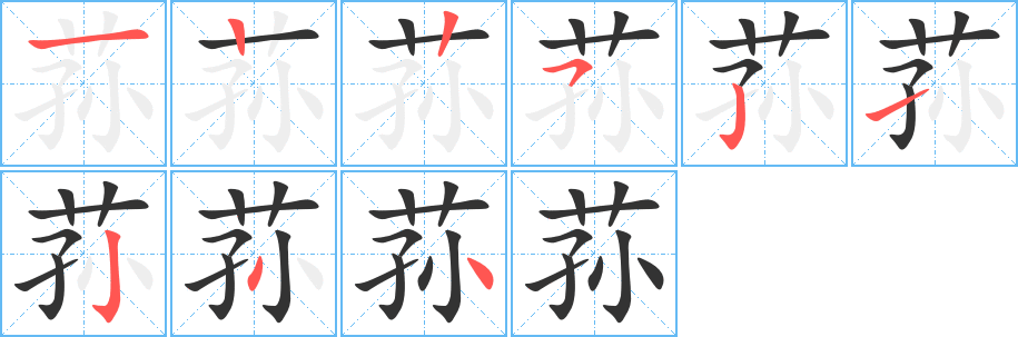 荪字完整笔顺步骤图