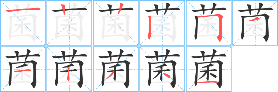 菌字完整笔顺步骤图