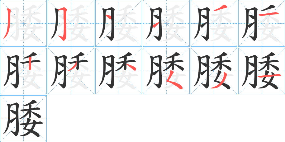 腇字笔顺步骤