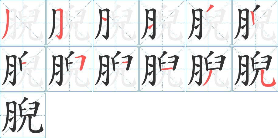 腉字笔顺步骤