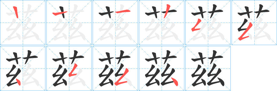 茲字完整笔顺步骤图