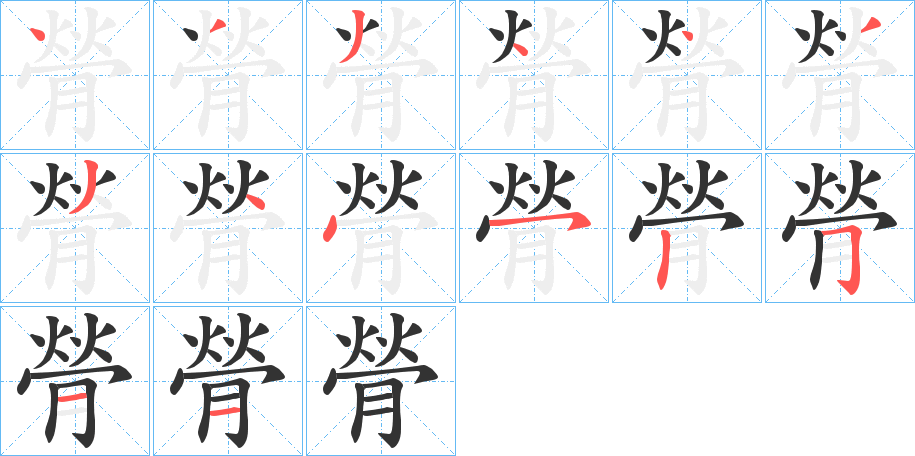 膋字完整笔顺步骤图