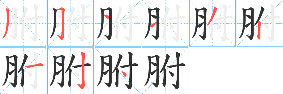 胕字笔顺步骤