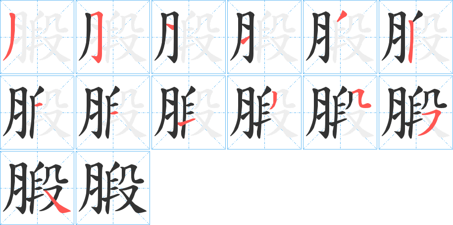腶字笔顺步骤