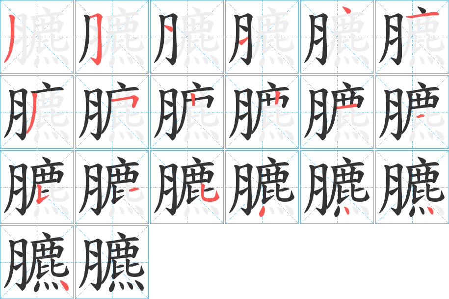 臕字笔顺步骤