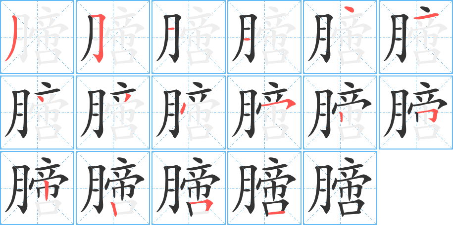 膪字完整笔顺步骤图