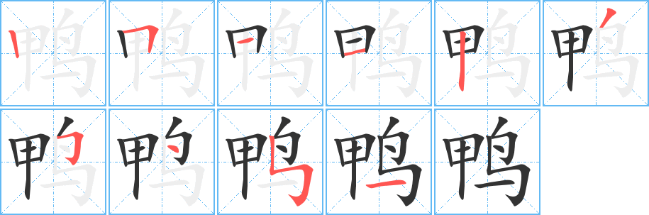 鸭字完整笔顺步骤图