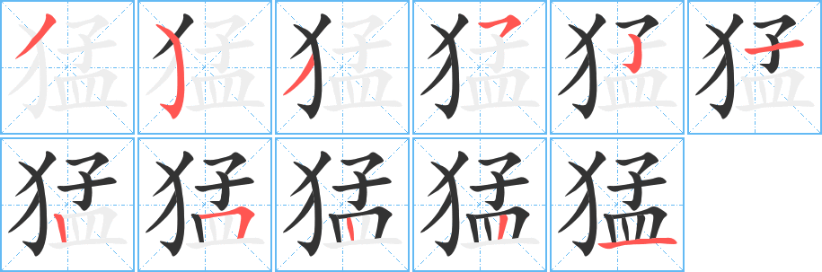 猛字完整笔顺步骤图