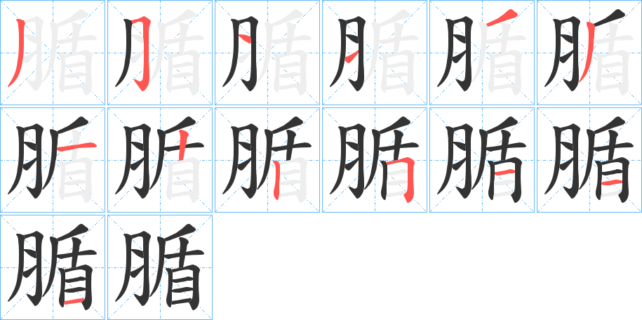 腯字笔顺步骤