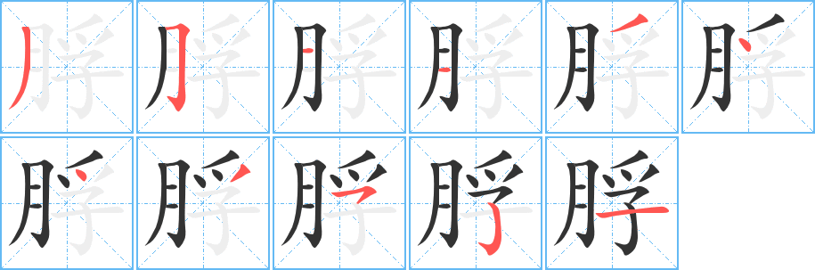 脬字完整笔顺步骤图