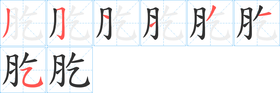 肐字笔顺步骤
