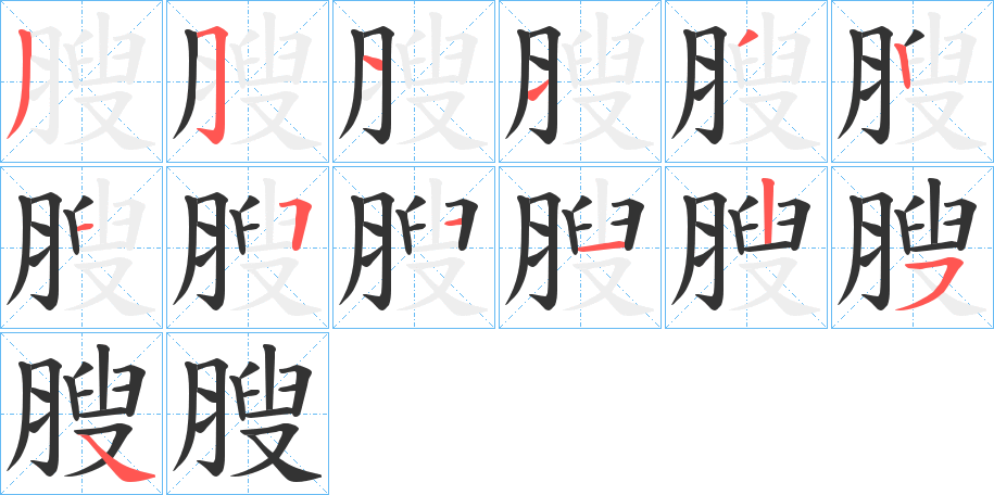 膄字笔顺步骤