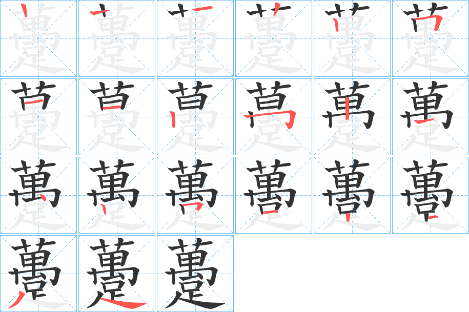 躉字完整笔顺步骤图