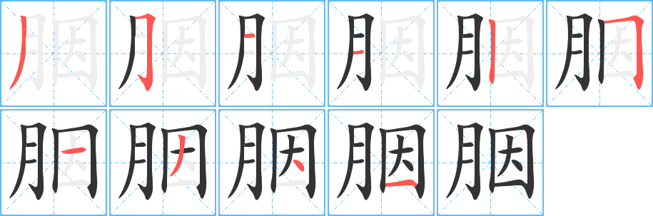 胭字完整笔顺步骤图