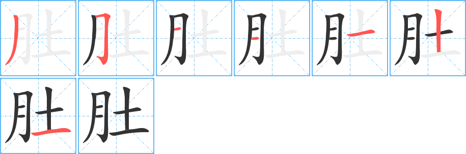 肚字完整笔顺步骤图