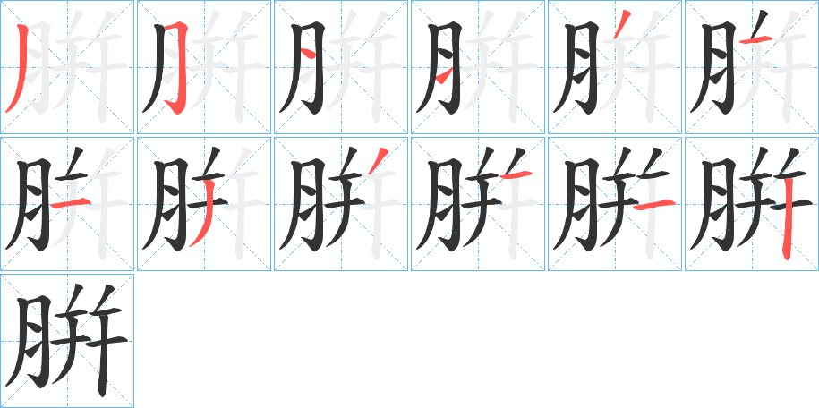 腁字完整笔顺步骤图