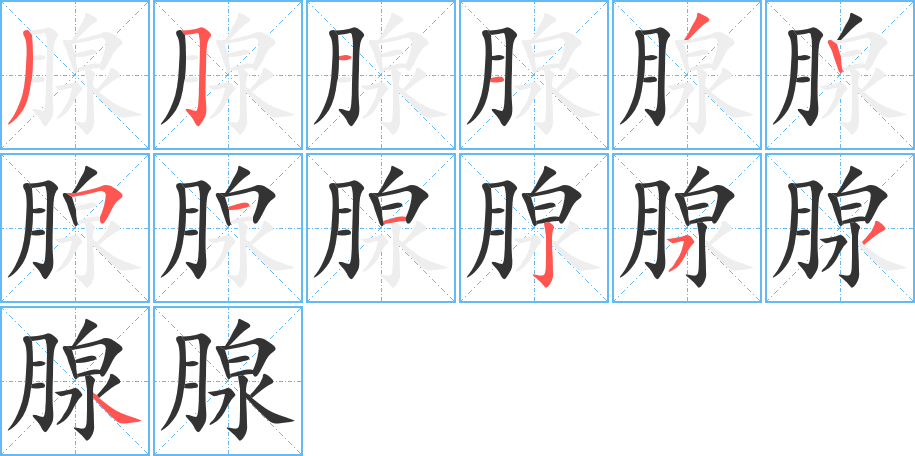 腺字完整笔顺步骤图