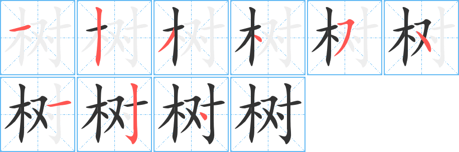 树字完整笔顺步骤图