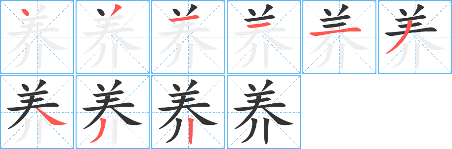 养字完整笔顺步骤图