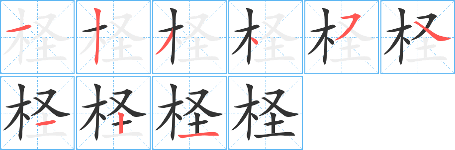 柽字完整笔顺步骤图