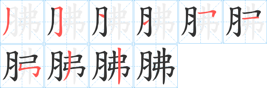 胇字笔顺步骤