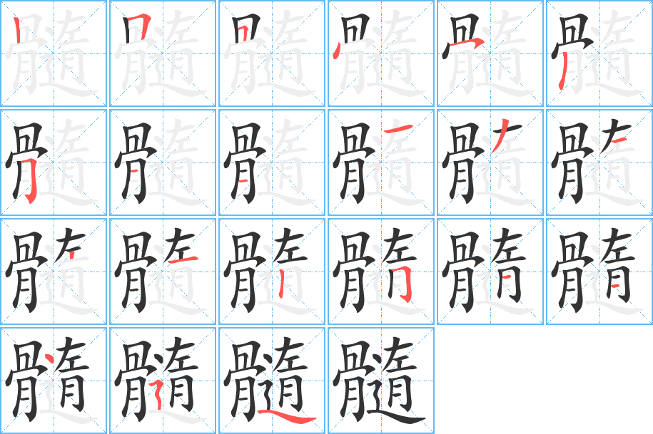 髓字完整笔顺步骤图
