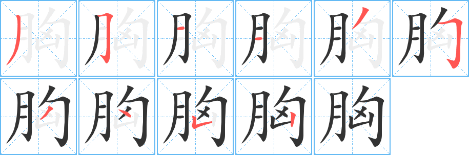 胸字完整笔顺步骤图