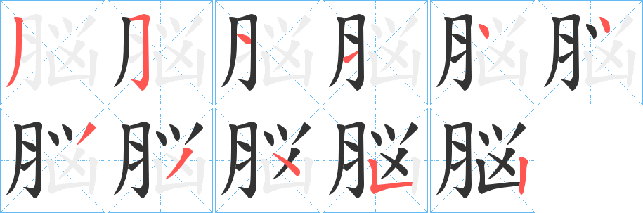 脳字完整笔顺步骤图