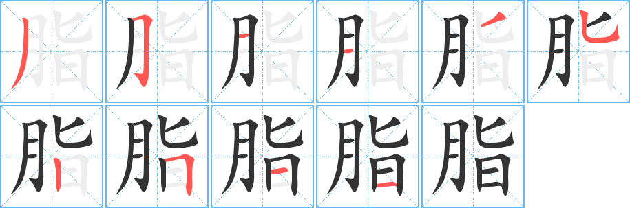 脂字完整笔顺步骤图