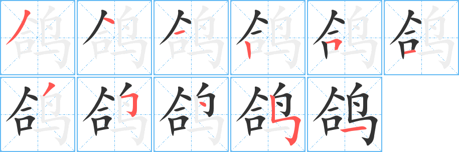 鸽字完整笔顺步骤图