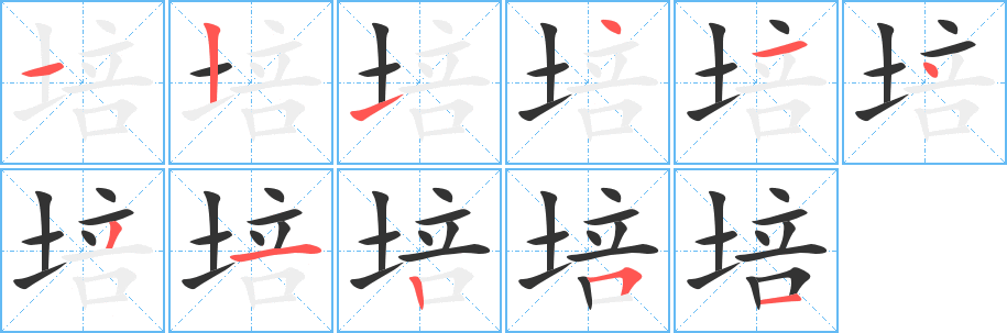 培字完整笔顺步骤图