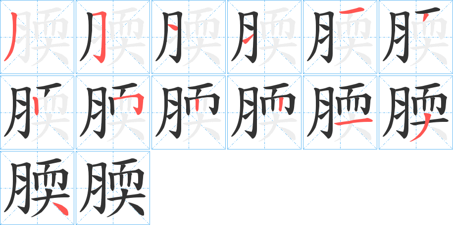腝字笔顺步骤