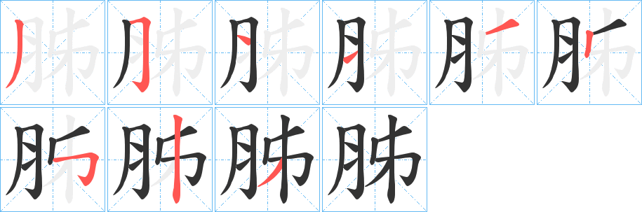 胏字笔顺步骤