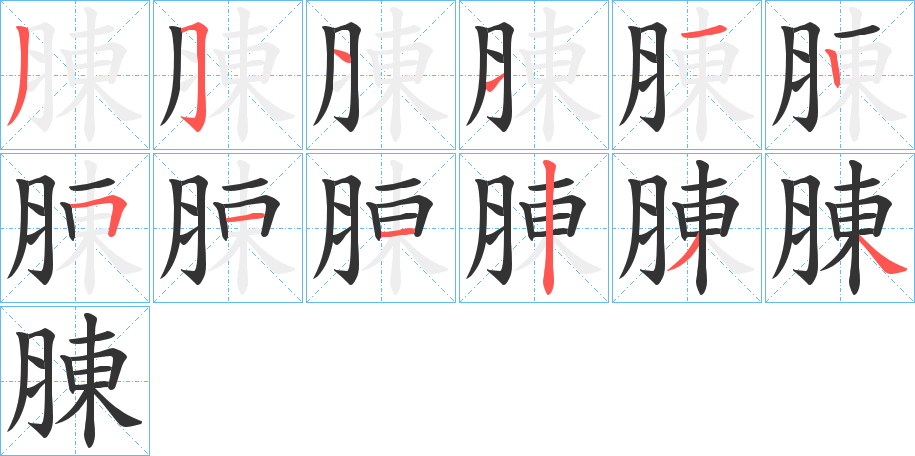 腖字完整笔顺步骤图