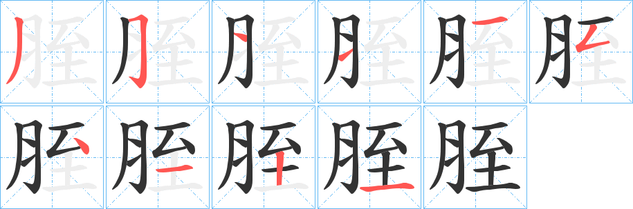 胵字笔顺步骤