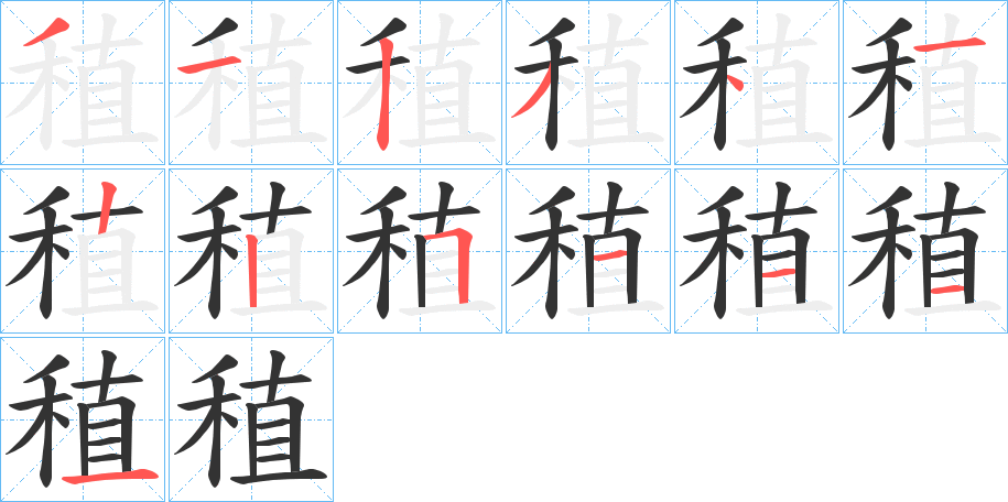 稙字完整笔顺步骤图