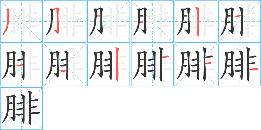 腓字完整笔顺步骤图