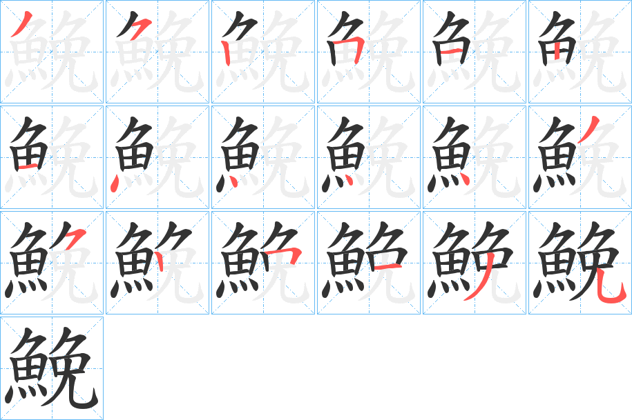 鮸字完整笔顺步骤图