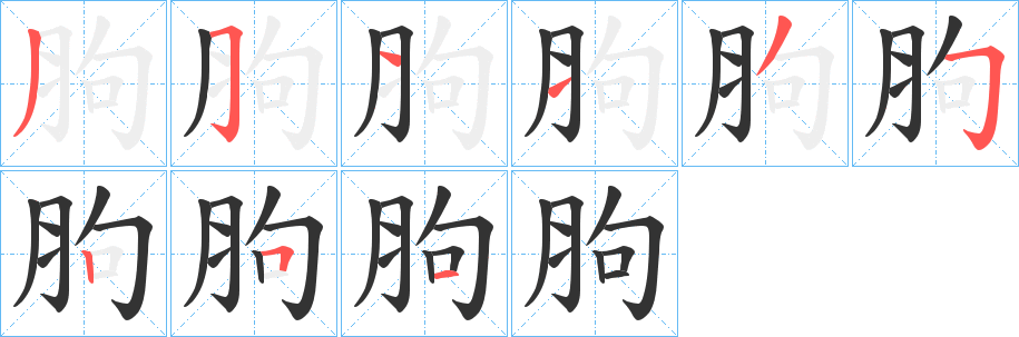 胊字完整笔顺步骤图