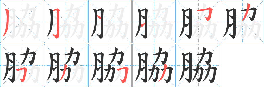 脇字完整笔顺步骤图