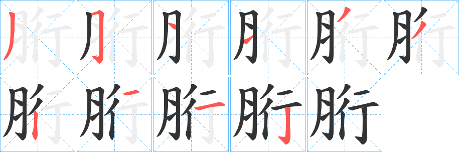 胻字笔顺步骤