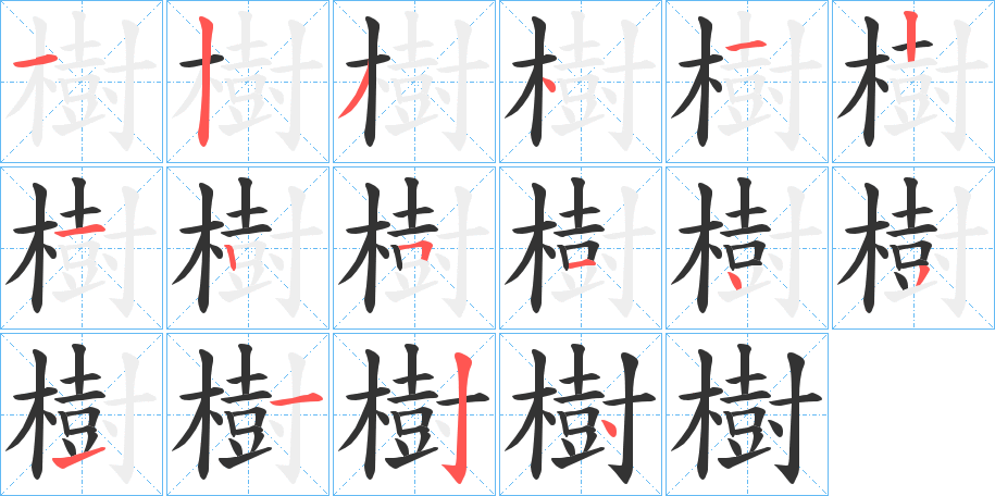 樹字完整笔顺步骤图