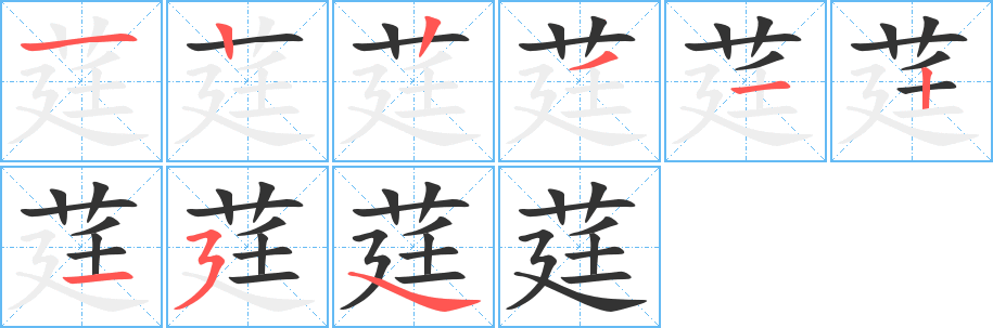 莛字完整笔顺步骤图